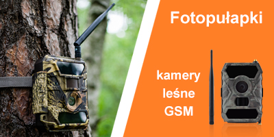 Fotopułapki - kamery leśne