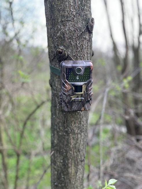 Fotopułapka HC900A - kamera leśna 36Mpx 44IR