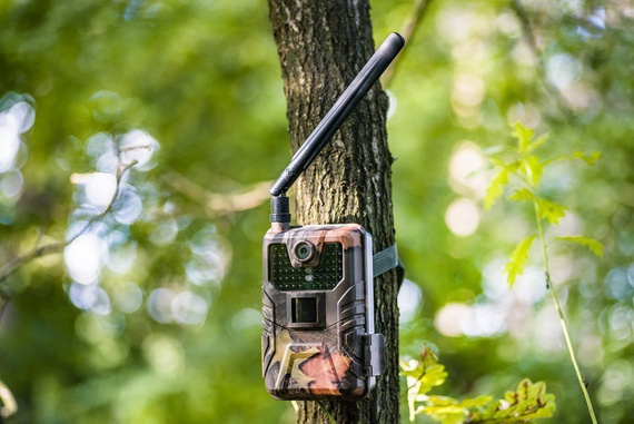 Fotopułapka GSM HC900PRO- kamera leśna 4G LTE - 30 Mpx, 4K 30kl/s Video - podgląd na żywo