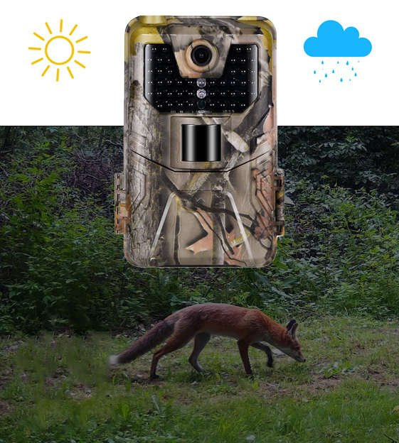 Fotopułapka HC900A - kamera leśna 36Mpx 44IR