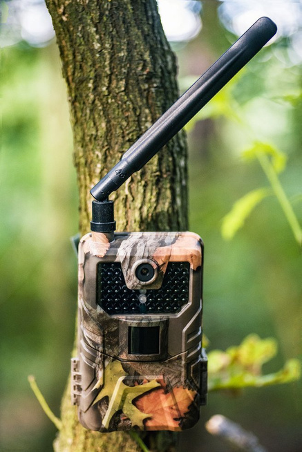 Fotopułapka GSM HC900PRO- kamera leśna 4G LTE - 30 Mpx, 4K 30kl/s Video - podgląd na żywo