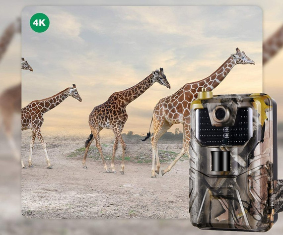 Fotopułapka GSM HC900PRO- kamera leśna 4G LTE - 30 Mpx, 4K 30kl/s Video - podgląd na żywo