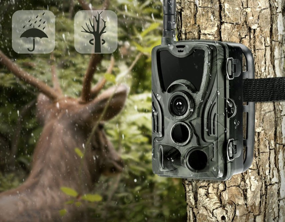 Fotopułapka GSM, kamera leśna HC801M