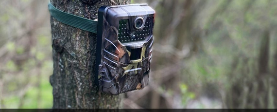 Fotopułapka HC900A - kamera leśna 36Mpx 44IR