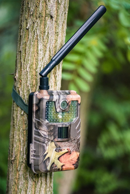 Fotopułapka GSM HC900PRO- kamera leśna 4G LTE - 30 Mpx, 4K 30kl/s Video - podgląd na żywo